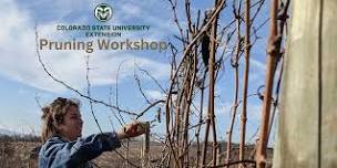 Hotchkiss Grape Pruning Workshop