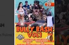 BULLY BASH