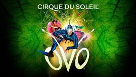 Cirque du Soleil - OVO - Lexington