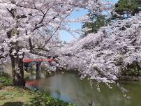 Hirosaki Cherry Blossom Festival