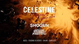 Celestine - Detriment Release Show