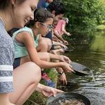 Gold Panning