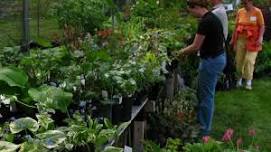 Spring Plant, Book, and Bake Sale