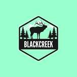 Summer Reading Kick Off with Black Creek Wildlife