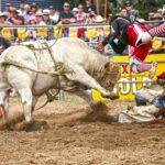 Jindabyne’s Man From Snowy River Rodeo