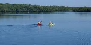 John D. MacArthur Beach Marvels: Paddle and Explore