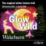 Glow Wild