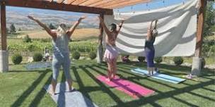 Yoga + Wine at Bianchi Vineyards