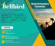 Team Dynamics Training