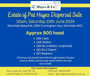 Estate of Pat Hayes Dispersal Sale