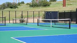 Adult Pickleball Social