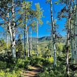 Summer Solstice Hike !