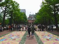 Sapporo Flower Carpet