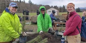 Drop-In Potting Party