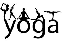 Adult Hatha Yoga Class