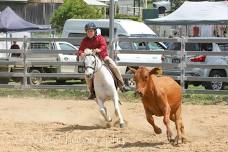 Rathdowney Pony Club Official Stockman's Challenge and Campdraft