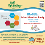 City Nature Challenge – BioBlitz Identification Party with Think Wild