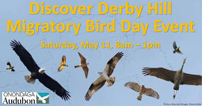 Discover Derby Hill Migratory Bird Day Event