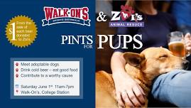 Pints for Pups