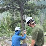 Colorado Adopter Training with Friends of the Dillon Ranger District