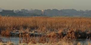 NWAS - British Marine and Coastal Life