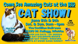 Calling All Cat Lovers!  Come to the BIG WICHITA CAT SHOW the weekend of June 8th & 9th!