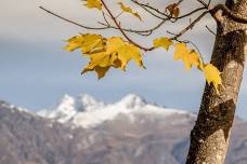 Autumn Photo Walk  |  ARROWTOWN