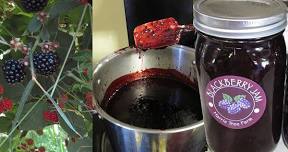 Blackberry Jam Making Class: Harris Family Farm