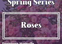 Master Gardener Spring Series: Roses