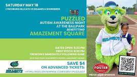 Puzzled Autism Awareness Night At The Ballpark