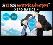 Xero Basics + Workshop