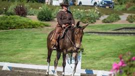 NJ: (24-019) Working Equitation at Dream Park #1