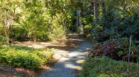 Family Nature Walk