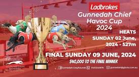 Ladbrokes Listed Gunnedah Chief Havoc Cup Final