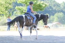 Foundational Horsemanship Course