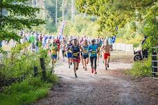 TreeTops Trail Race