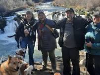 Hike Steelhead falls  ( dog friendly)