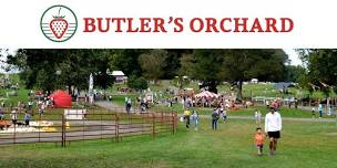 Strawberry Picking at Butler's Orchard