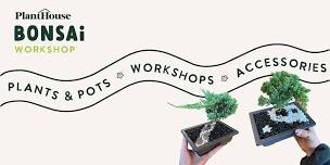 Bonsai Workshop