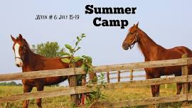 Summer Horse Camp: Week #6