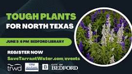 Tough Plants for North Texas