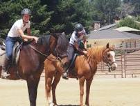 Group Session  — Jec Ballou Equine Fitness & Performance