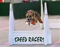 Omaha Speed Racers Flyball