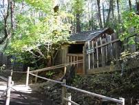 The Oregon Vortex