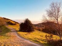 DOG FRIENDLY Evening Malvern Hills walk (drink at Malvern Hills Hotel)