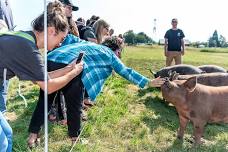 Second Saturday Farm Tour | October