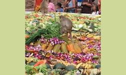 Lopburi Monkey (Festival) Banquet 2024