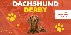 Dachshund Derby