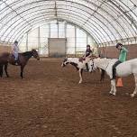 Horse Camp for Home Schoolers