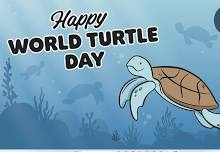 Family Hub Playgroup - World Turtle Day